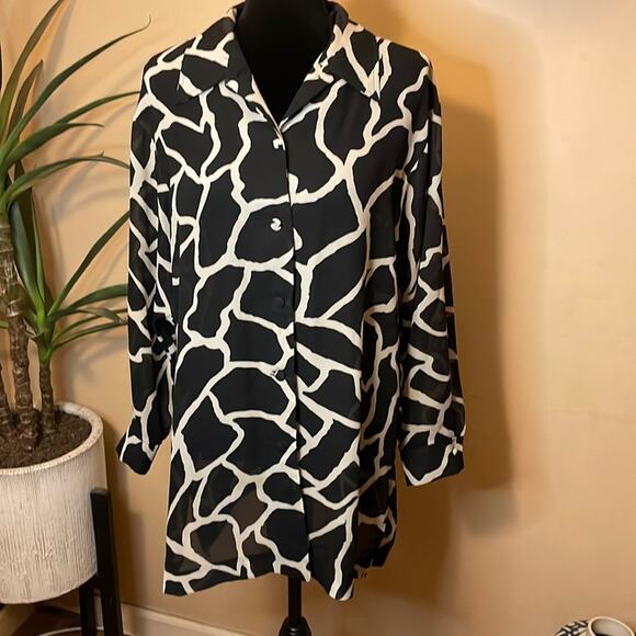 Vintage Petite Sophisticate sheer button tunic - Picture 1 of 9